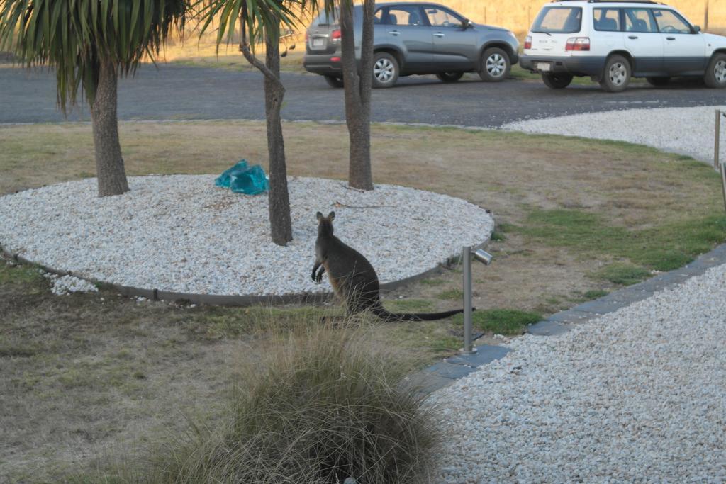 ホテルClifftop Smiths Beach エクステリア 写真